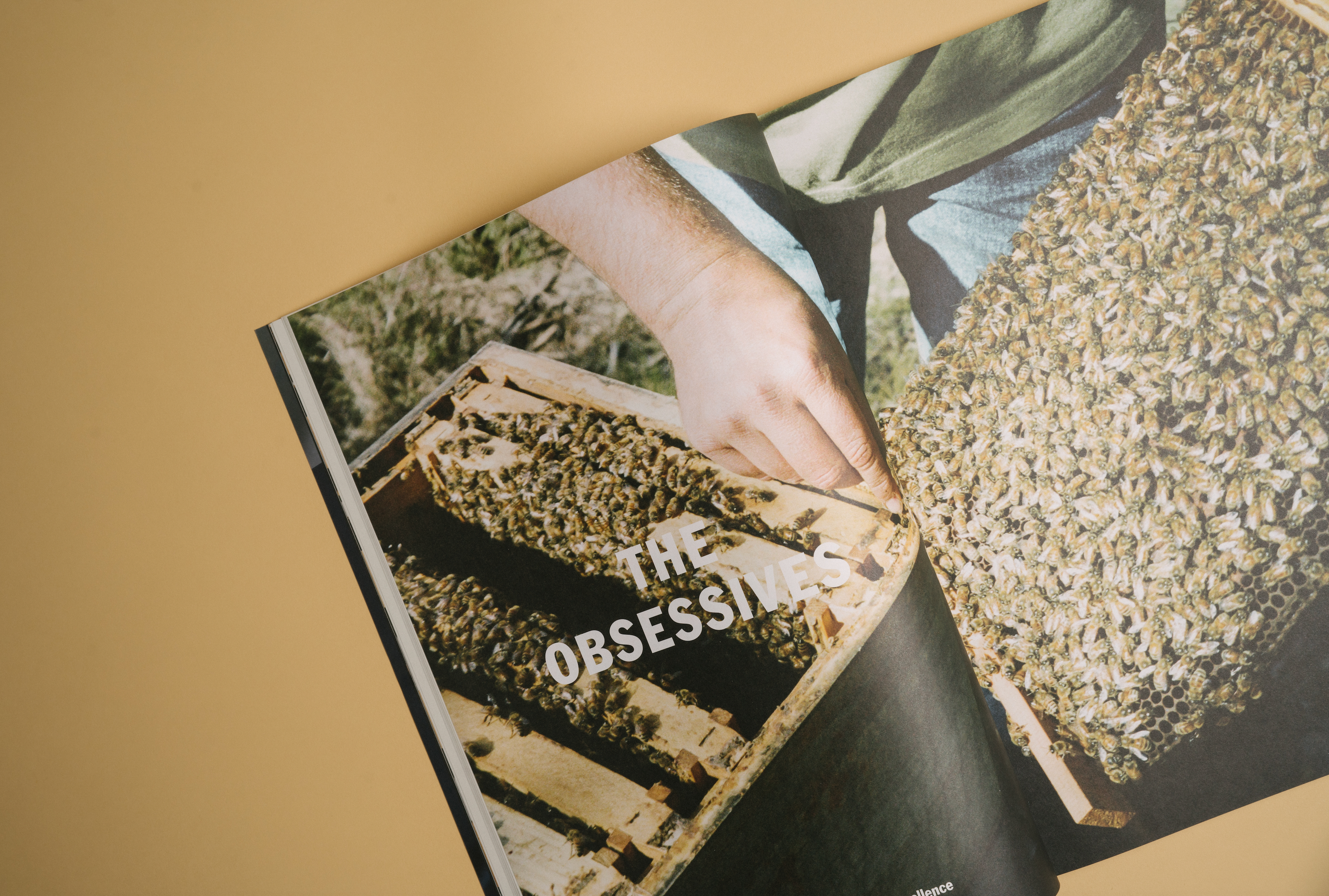 Swill Magazine #1